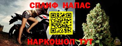 сатива Новокубанск