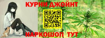 сатива Новокубанск