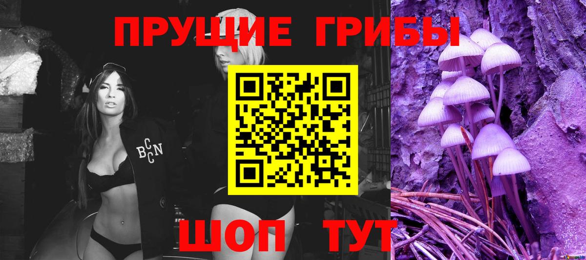 Галлюциногенные грибы MAGIC MUSHROOMS Пушкино